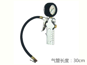 REKMA AA-6003打氣量壓表